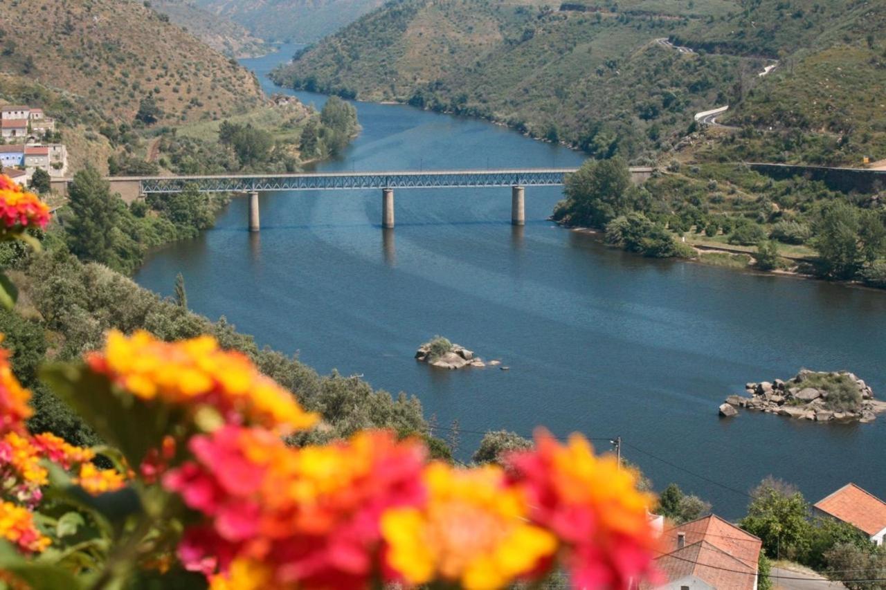 Quinta Do Belo-Ver Turismo De Habitacao Belver  Extérieur photo